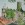  zzgl. Versand 15,00 € 